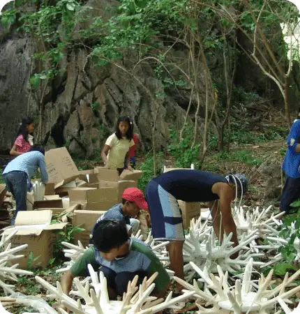 Volunteers working together