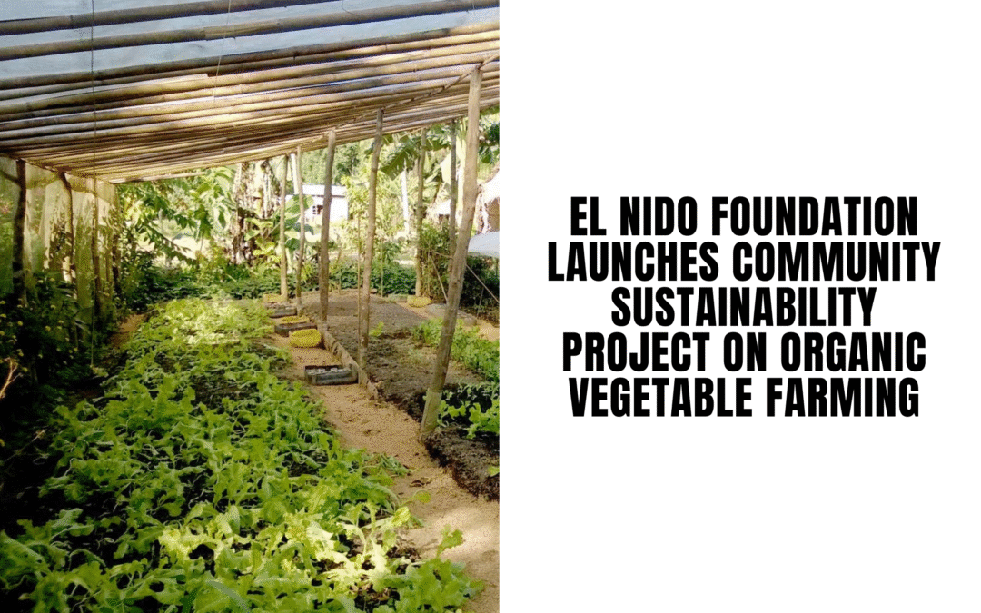 El Nido Foundation Launches Community Sustainability Project on Organic Vegetable Farming
