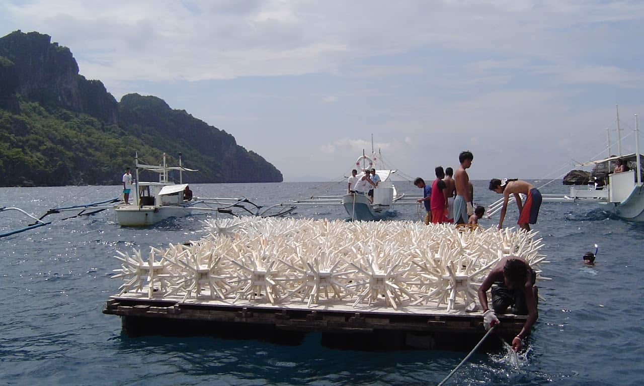 EcoReef Module Deployment