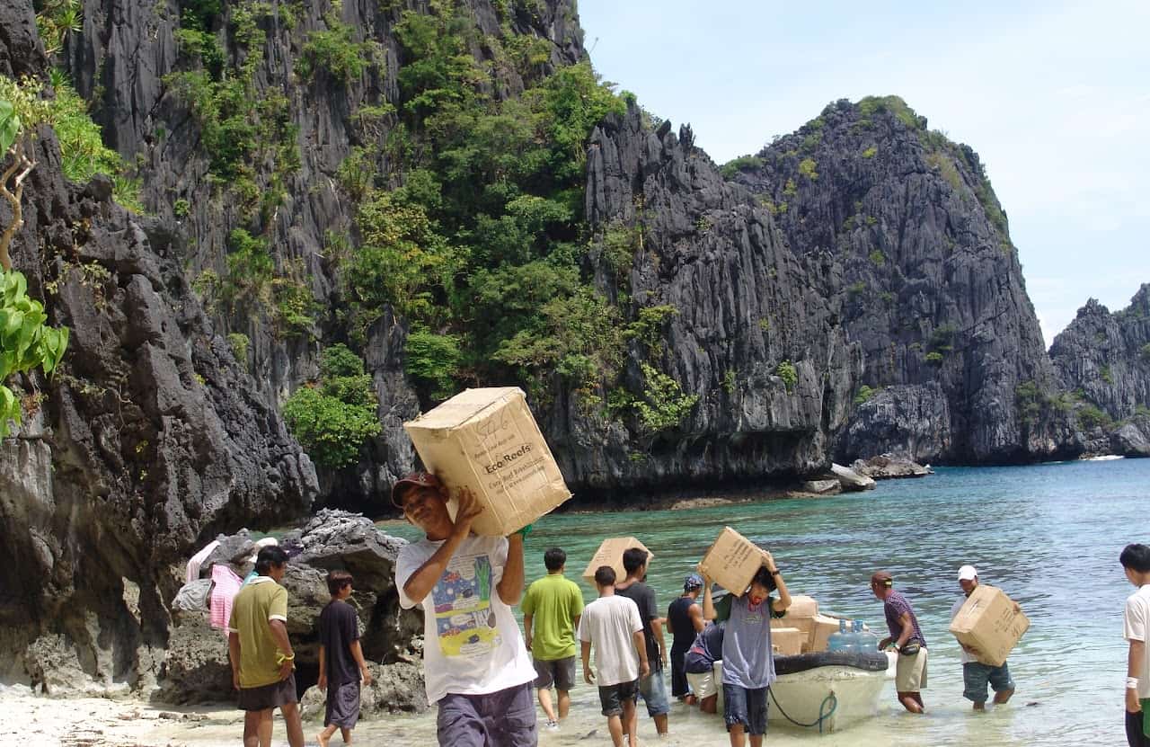 Beach Cleanup Activity