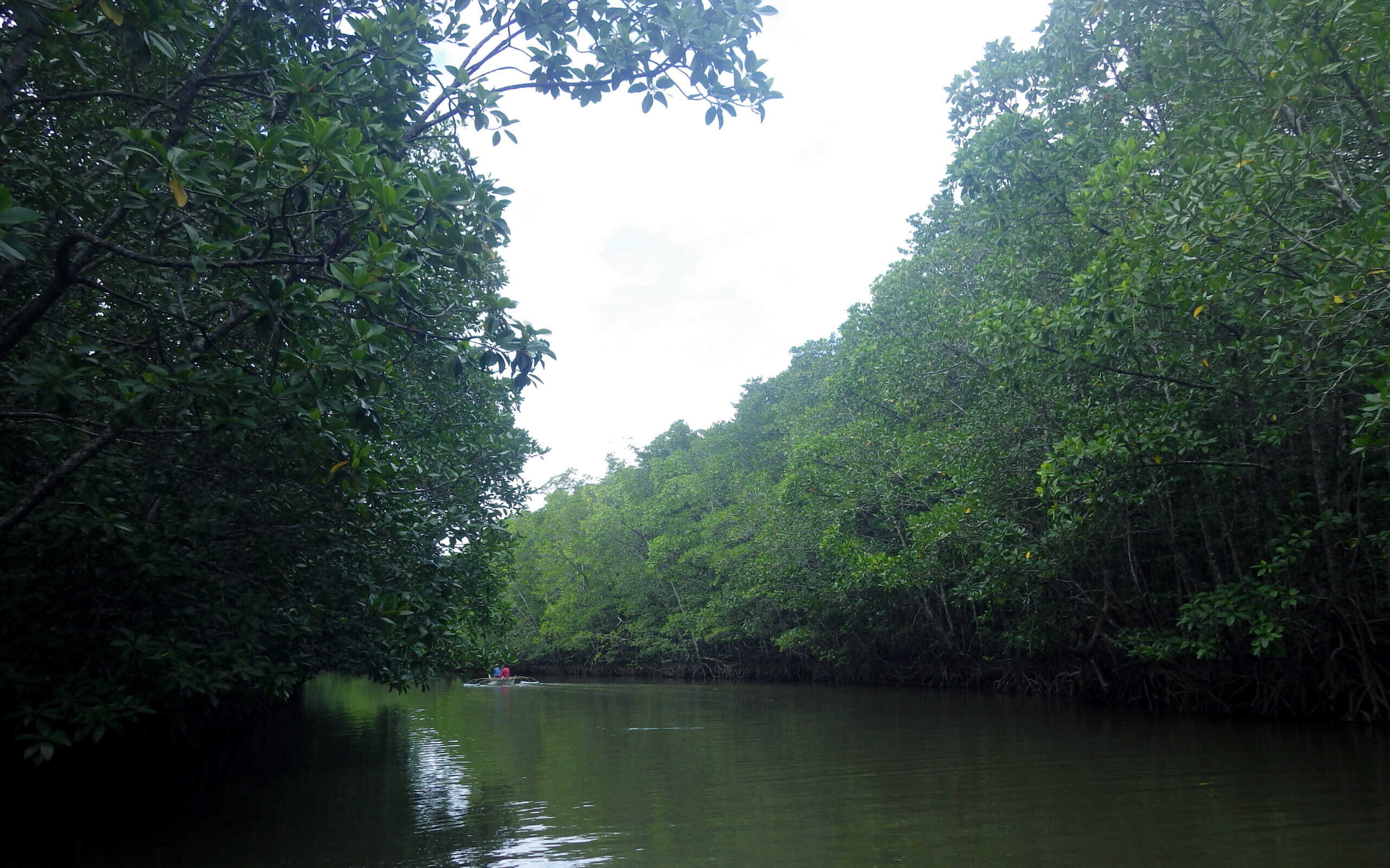 Community-Managed Marine Areas