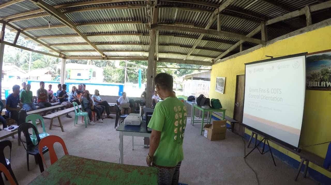 Green Fins Program Activities