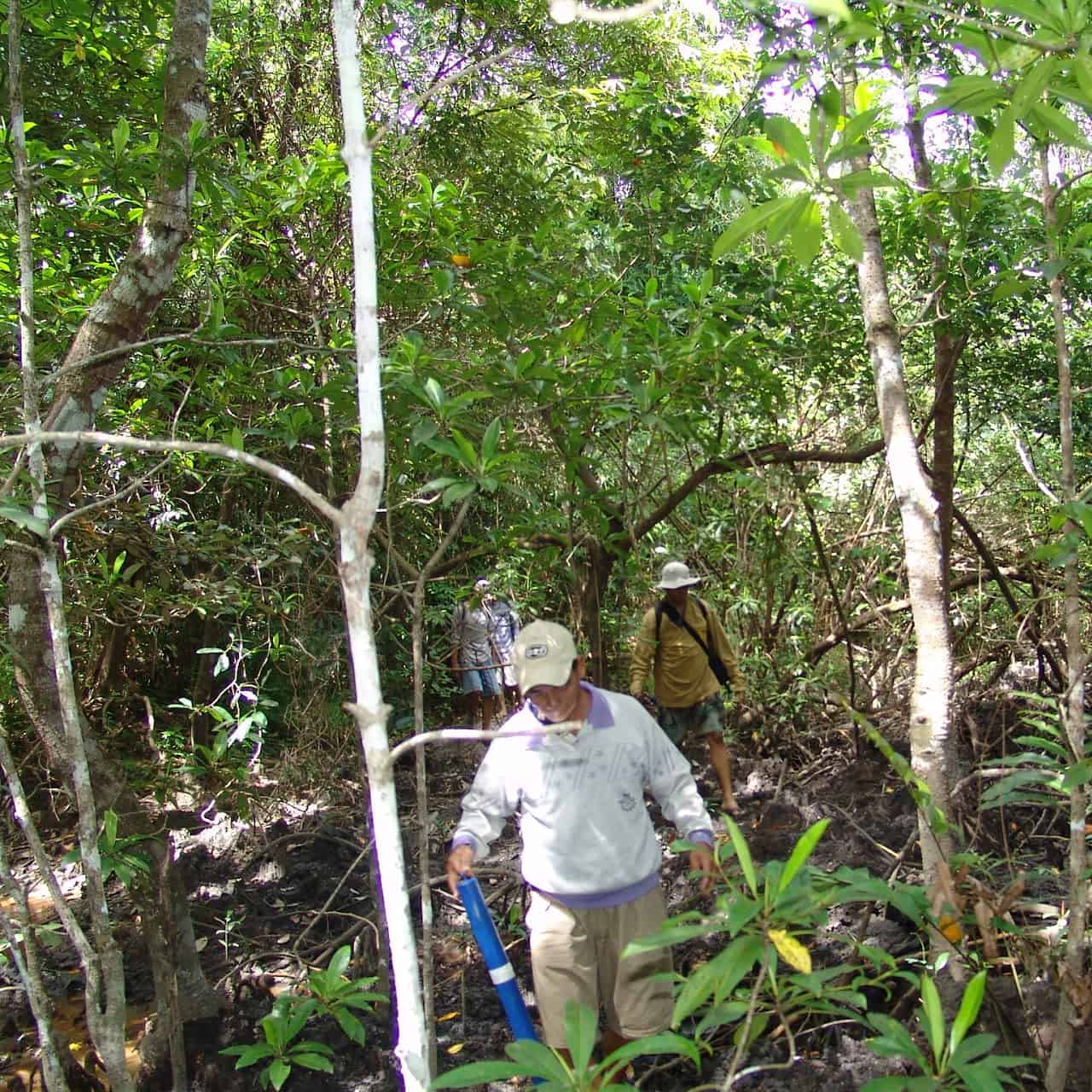 Groundtruthing of mangrove area in New Ibajay