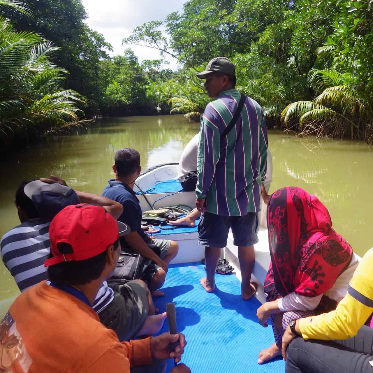 Mangrove survey in Lio, Villa Libertad