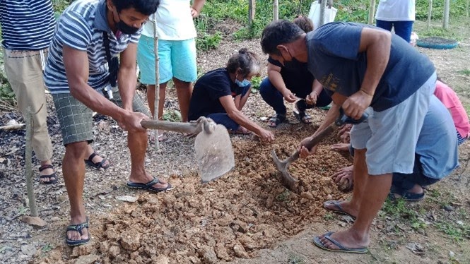 Organic vegetable farming