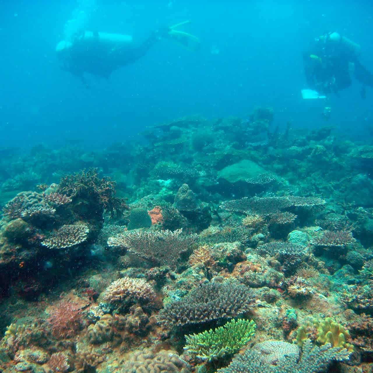 Survey in Barangay Mabini