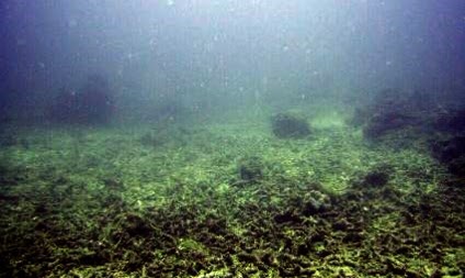 Tres Marias Prior to Installation